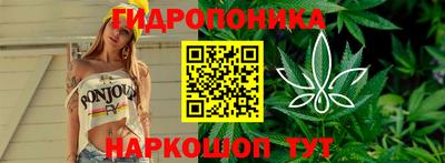 spice Берёзовский