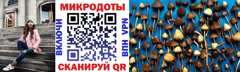 что такое   Дедовск  Галлюциногенные грибы Magic Shrooms 