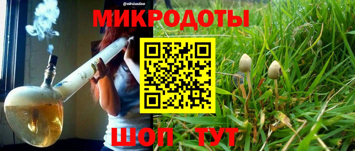 Псилоцибиновые грибы GOLDEN TEACHER Дедовск