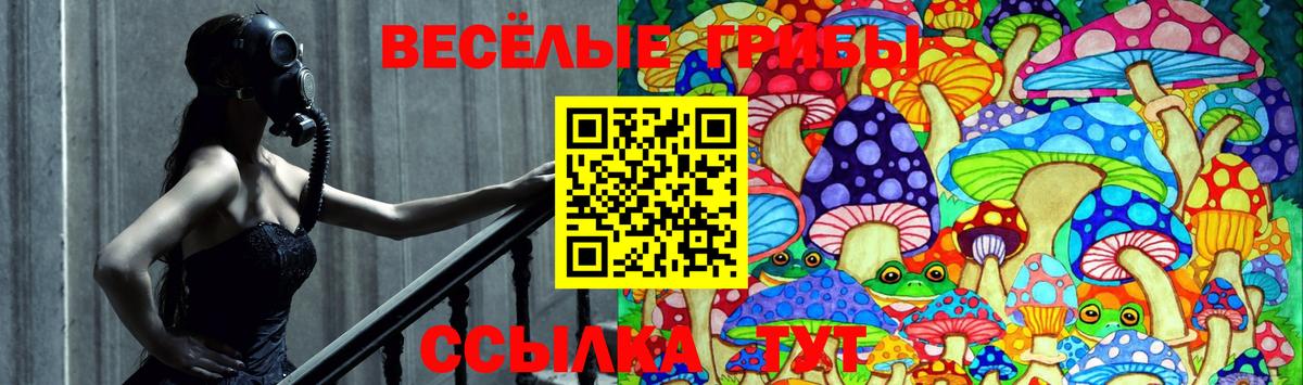 Псилоцибиновые грибы ЛСД  Псилоцибиновые грибы Magic Shrooms  наркошоп  Вход с VPN  Дедовск 
